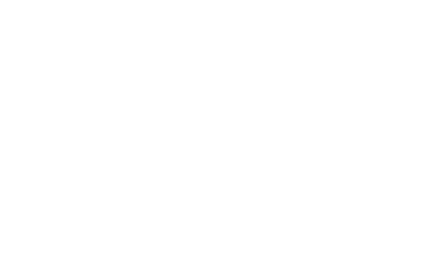 Digital-Introspect-logo Digital Interfact logo